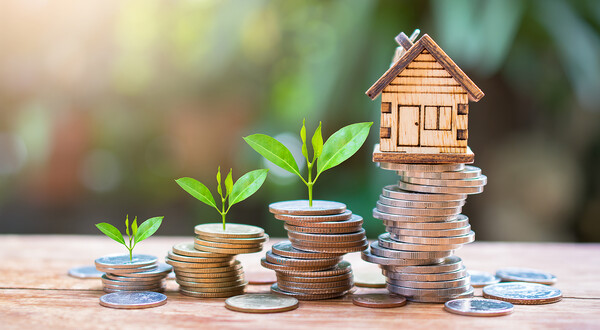Nachhaltige Investments und Immobilienentwicklung – Münzstapel mit wachsenden Pflanzen und Hausmodell als Symbol für verantwortungsvolle Vermögensbildung bei der Sustain & Estate Winterschool der HOK.