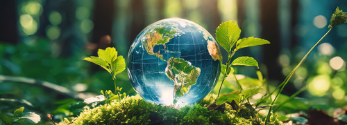 Gläserner Globus auf Moos zwischen grünen Pflanzen im Sonnenlicht – Sinnbild für Nachhaltigkeit, globale Verantwortung und Umweltbewusstsein. | © AdobeStock.hardvicore | KI-generiert