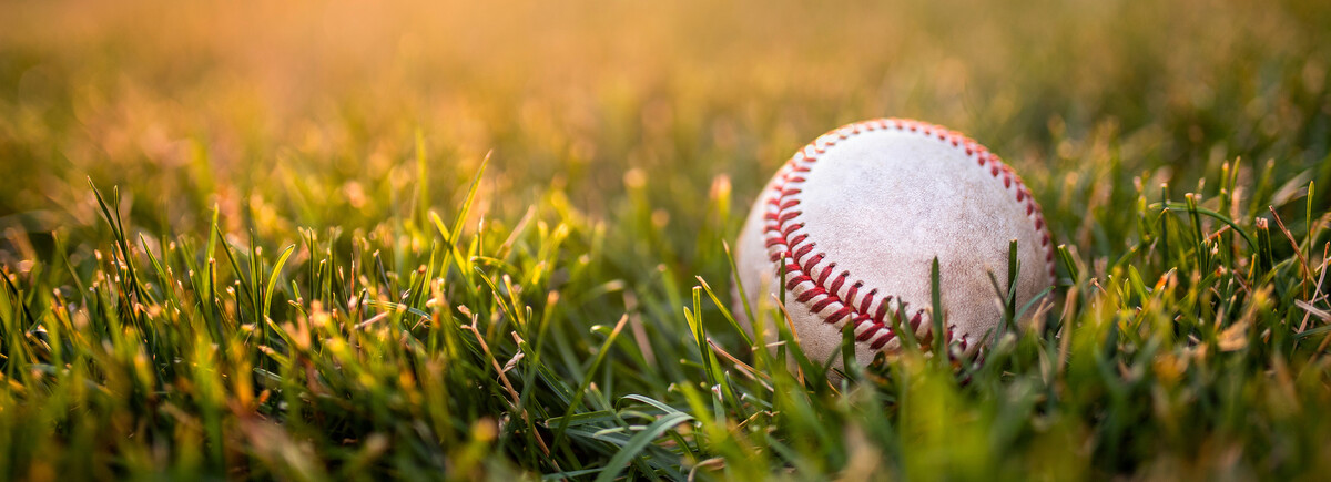 Baseball liegt auf einer grünen Wiese im warmen Abendlicht, mit Fokus auf den Nähten und dem Gras im Vordergrund.