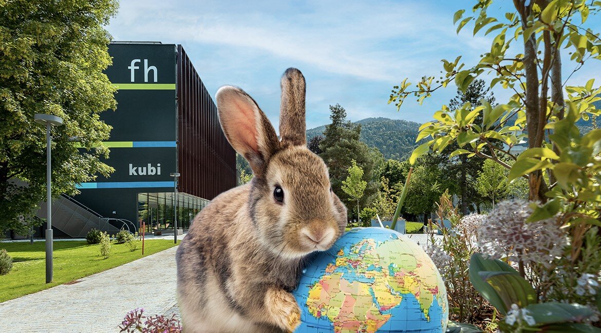 Bildmontage eines Hasen mit einer kleinen Weltkugel zwischen den Pfoten vor dem Campus der HOK.